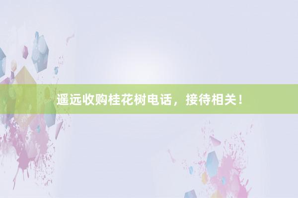 遥远收购桂花树电话，接待相关！
