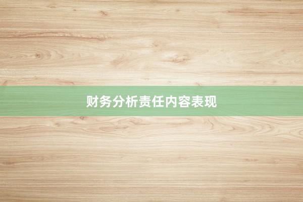 财务分析责任内容表现